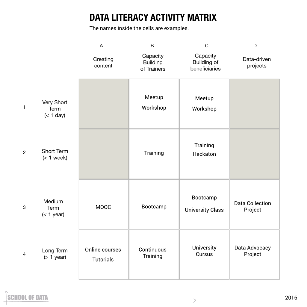 Data Literacy Activity Matrix